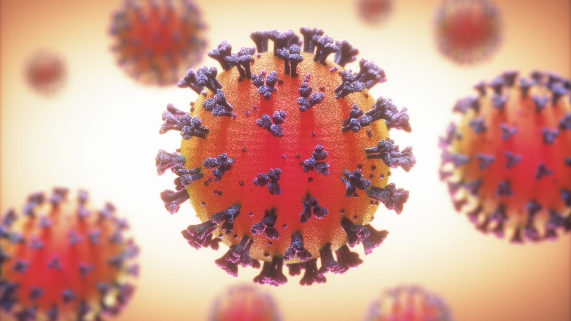 Red round virus with purple spike proteins fanning out, an illustration of the Sars-Cov-2 virus particle.