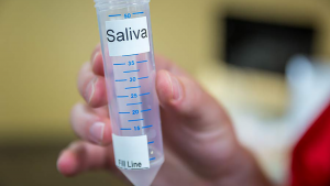 A tube of saliva, labeled saliva.